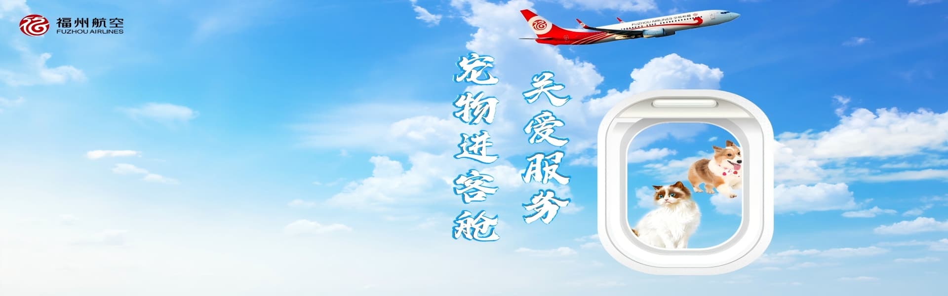 宠物进客舱