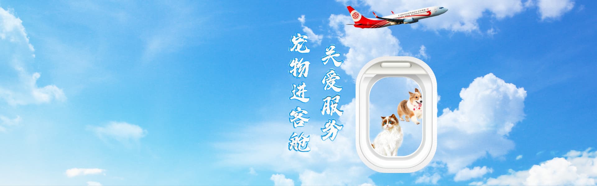 宠物进客舱